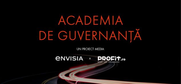 ESG Governance and the Public–Private Synergy: The Key to Renewable Energy Stability